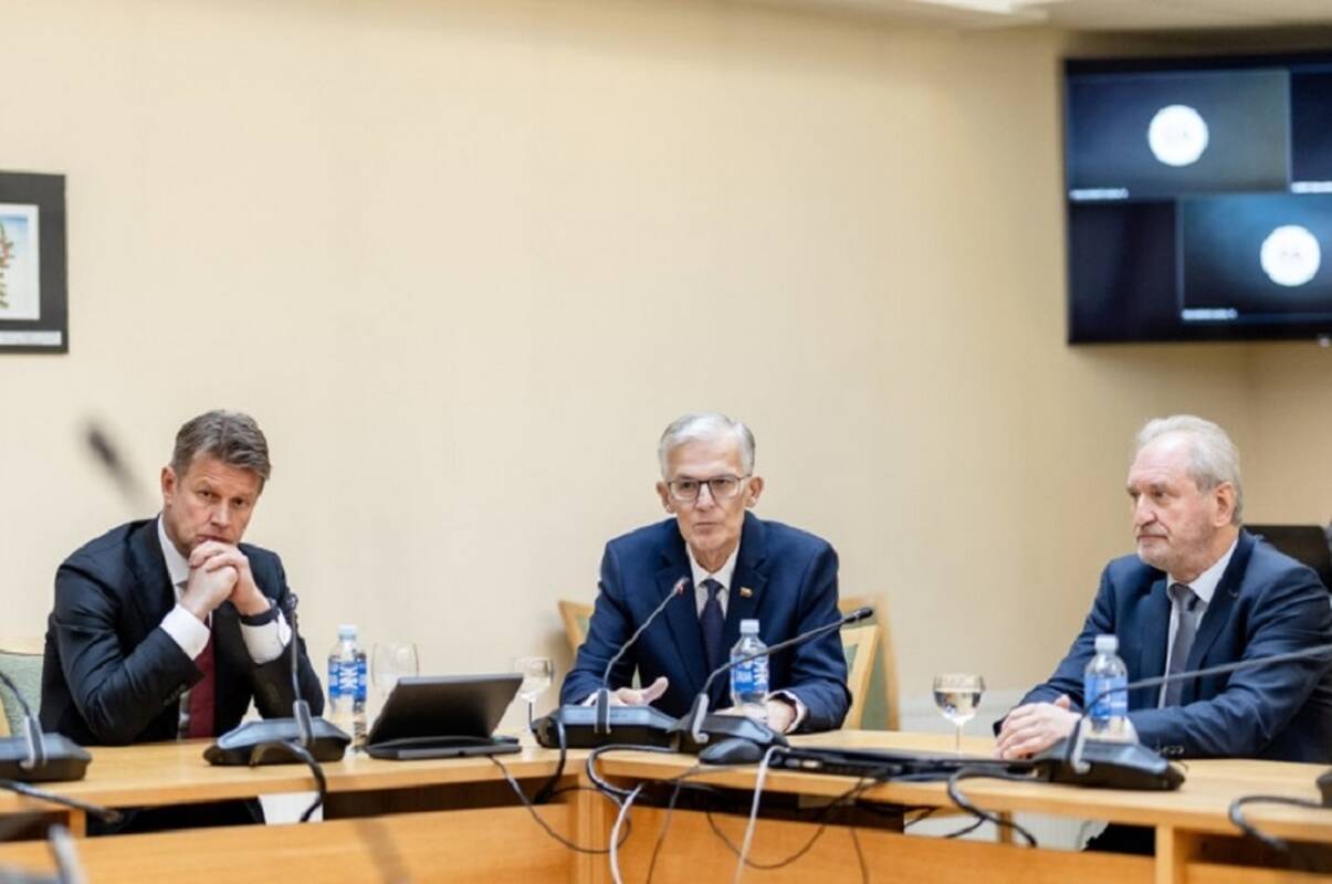 Driukas, Sabatauskas paskirti Konstitucinio Teismo teisėjais, Šinkūnas – ne