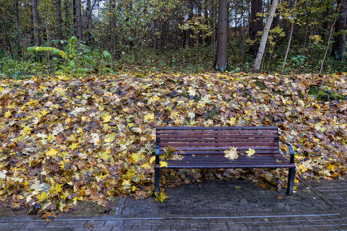 Orai: Vėlinių savaitgalis bus kontrastingas