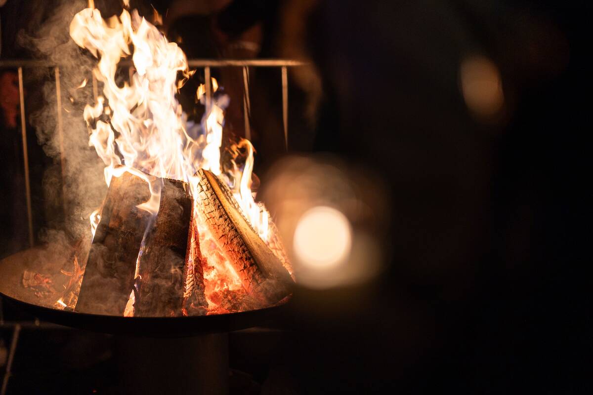 Muzikinis-vaidybinis koncertas Sereikiškių parke esančiame Šventaragio slėnyje