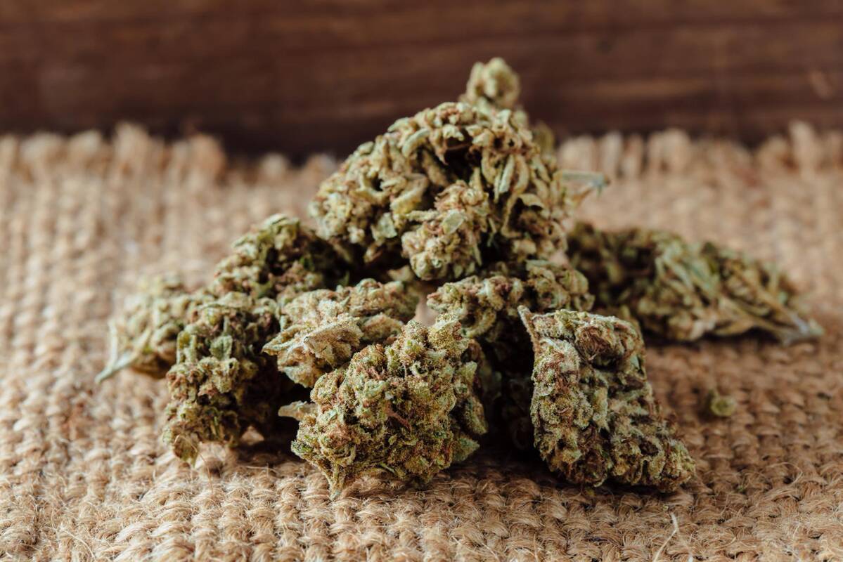 Kanapės su miniatiūriniais stiklo gabaliukais – ir Lietuvoje: gali kelti pavojų sveikatai