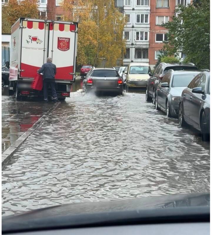 Liūtis Klaipėdoje