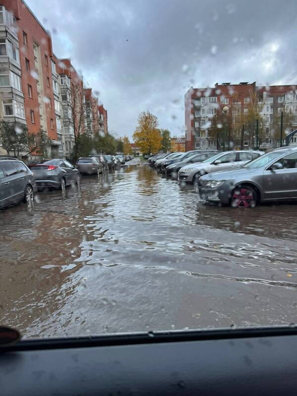 Liūtis Klaipėdoje