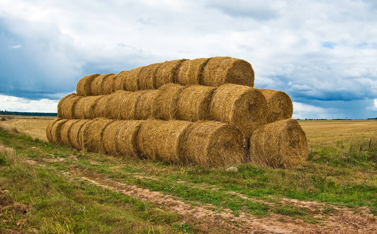 Marijampolės savivaldybėje padegti šieno ir šiaudų rulonai