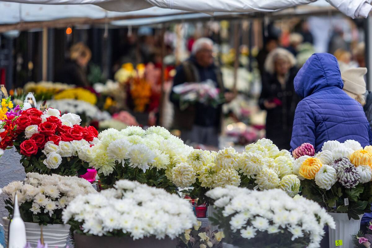 Ruošiantis Vėlinėms: kokias gėles rinktis?