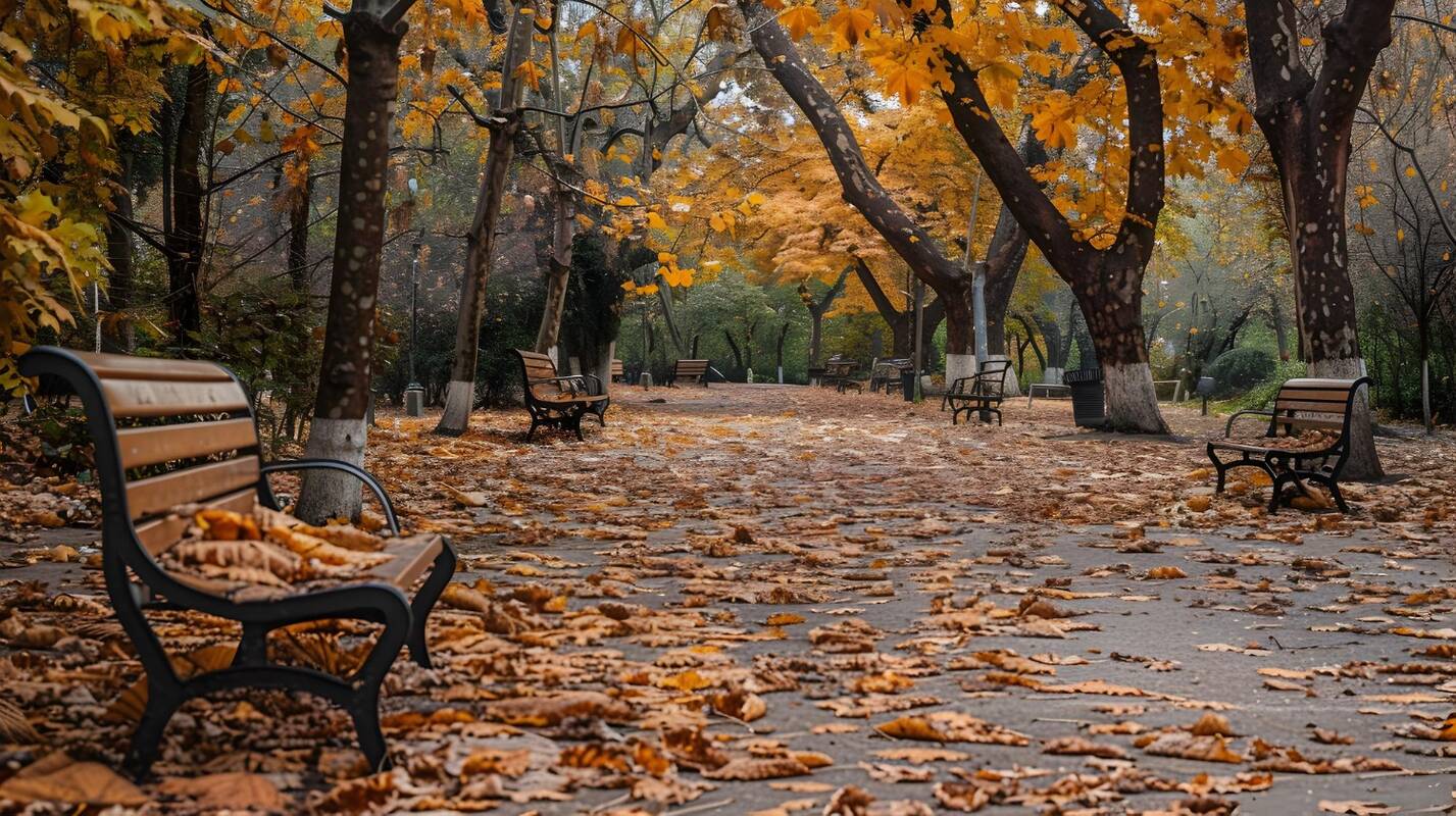 Astrologinė prognozė lapkričio 3–9 d.