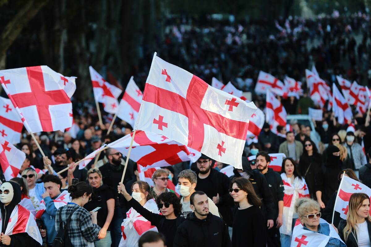 Sakartvelo valdančioji partija siekia uždrausti pagrindines opozicijos jėgas
