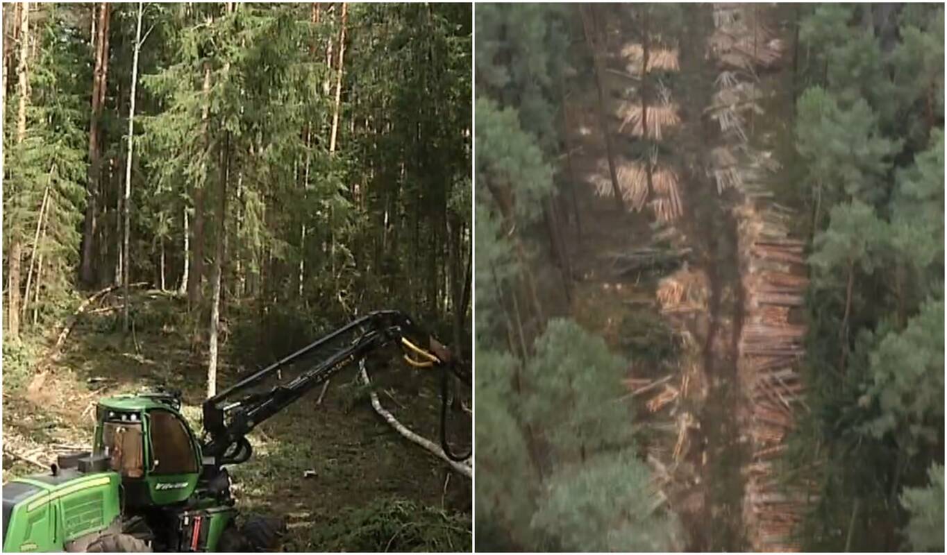 Nauji poligonai – per tarpininkus: įtaria korupciją