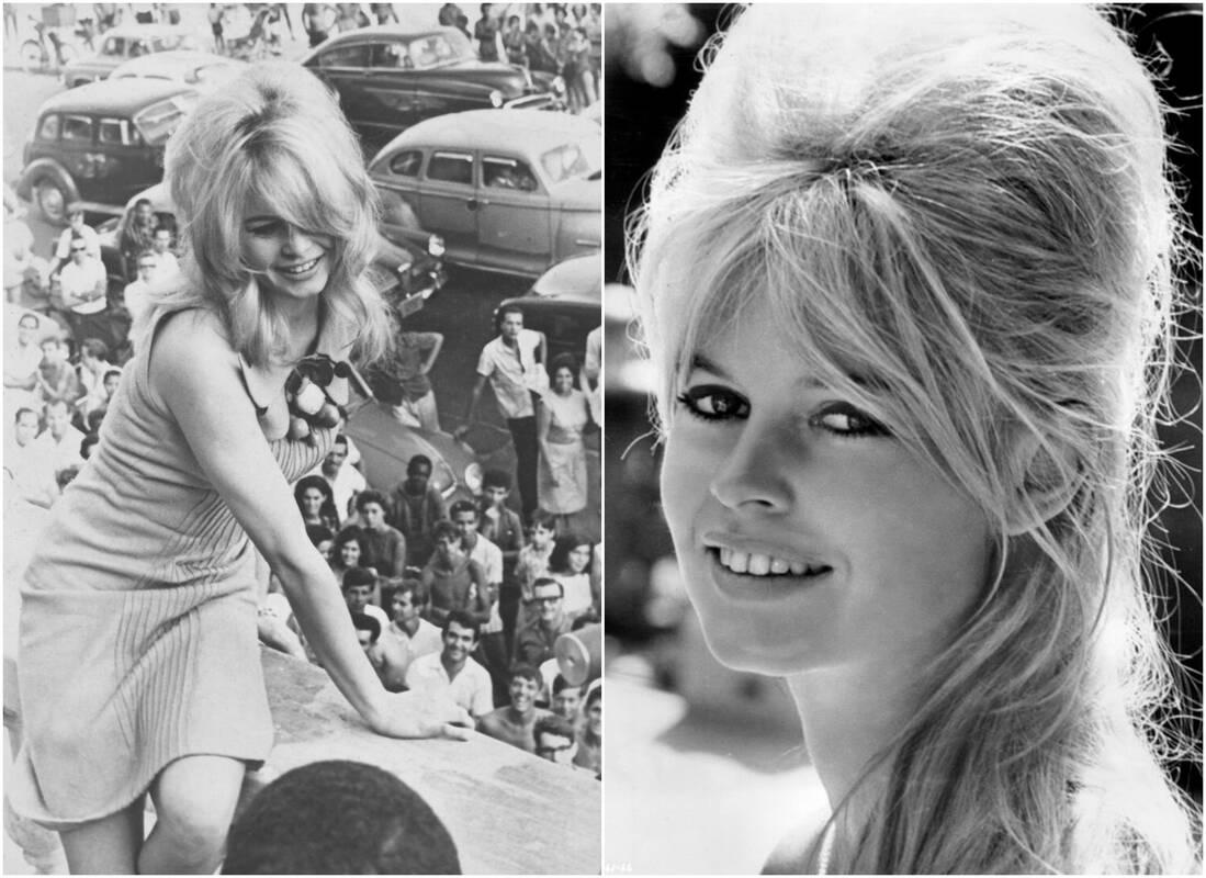 Prancūzų kino legenda Brigitte Bardot sunkiai serga