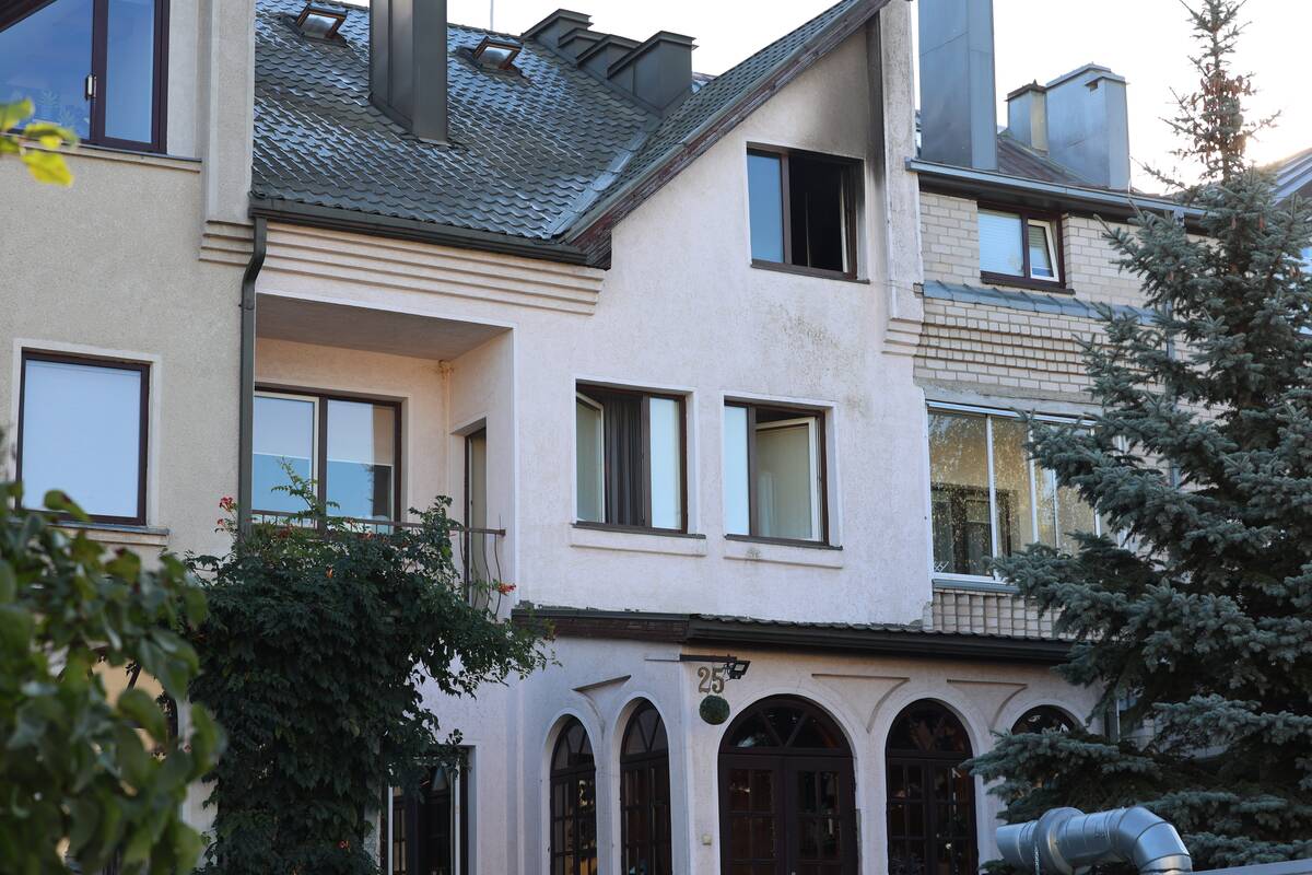 Ugnis nusiaubė Romainių kotedžą, žuvo šuo