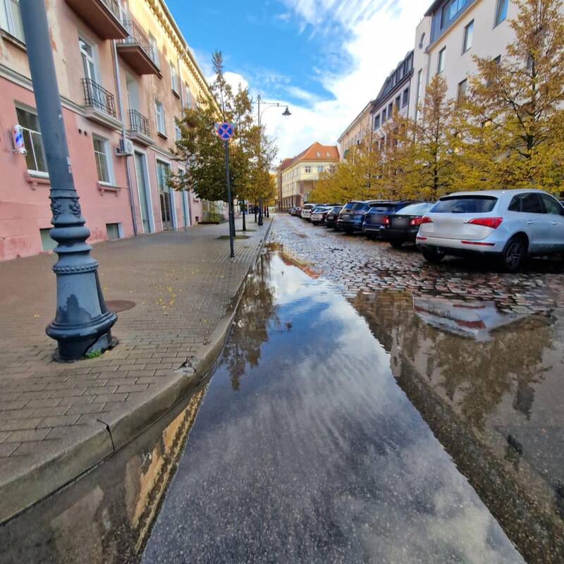 Liūtis Klaipėdoje
