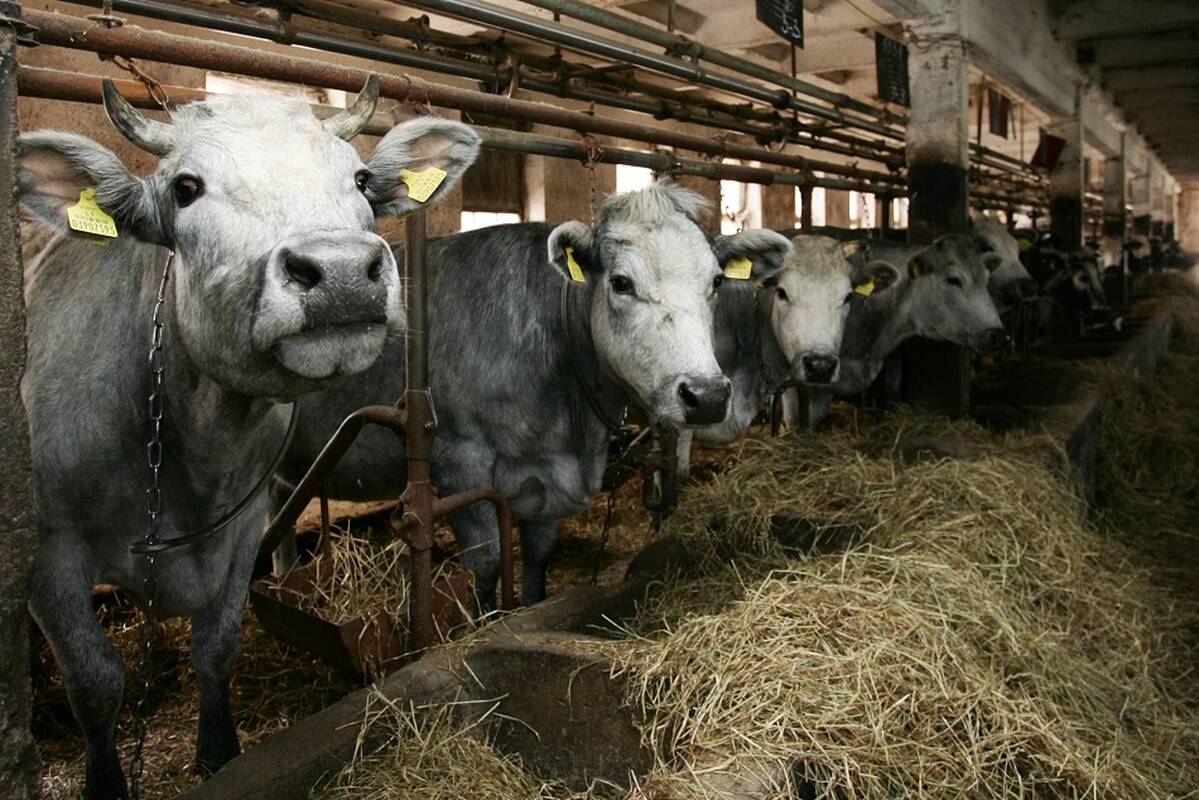 Palionis apie infekcijos protrūkį: bijau, kad mes nebebūsime „švaria“ šalimi