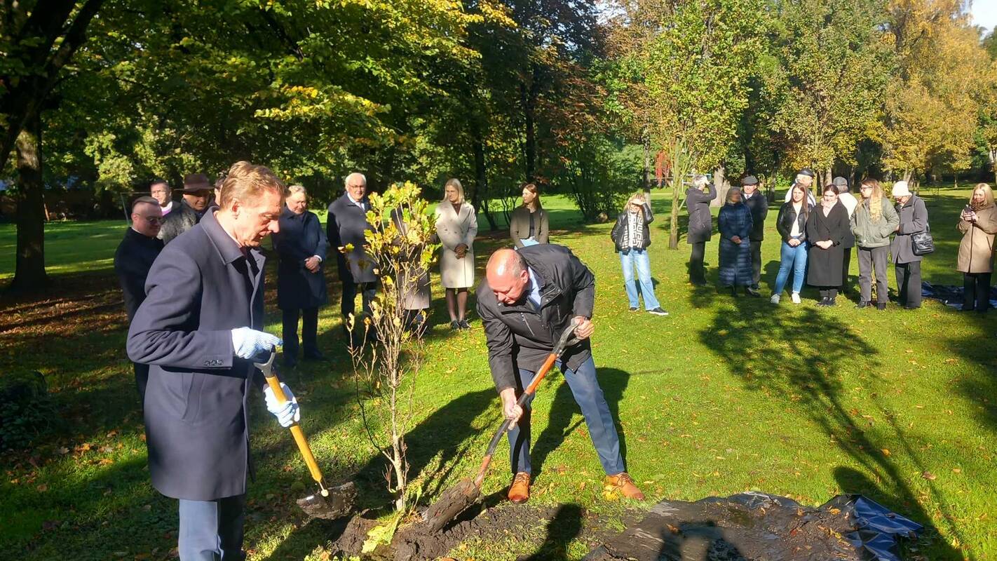 Ceremonija: Klaipėdos pedagoginio instituto įkūrimo 90-mečio proga buvo pasodinta ąžuolų. Triūsė ir uostamiesčio meras A. Vaitkus (kairėje).