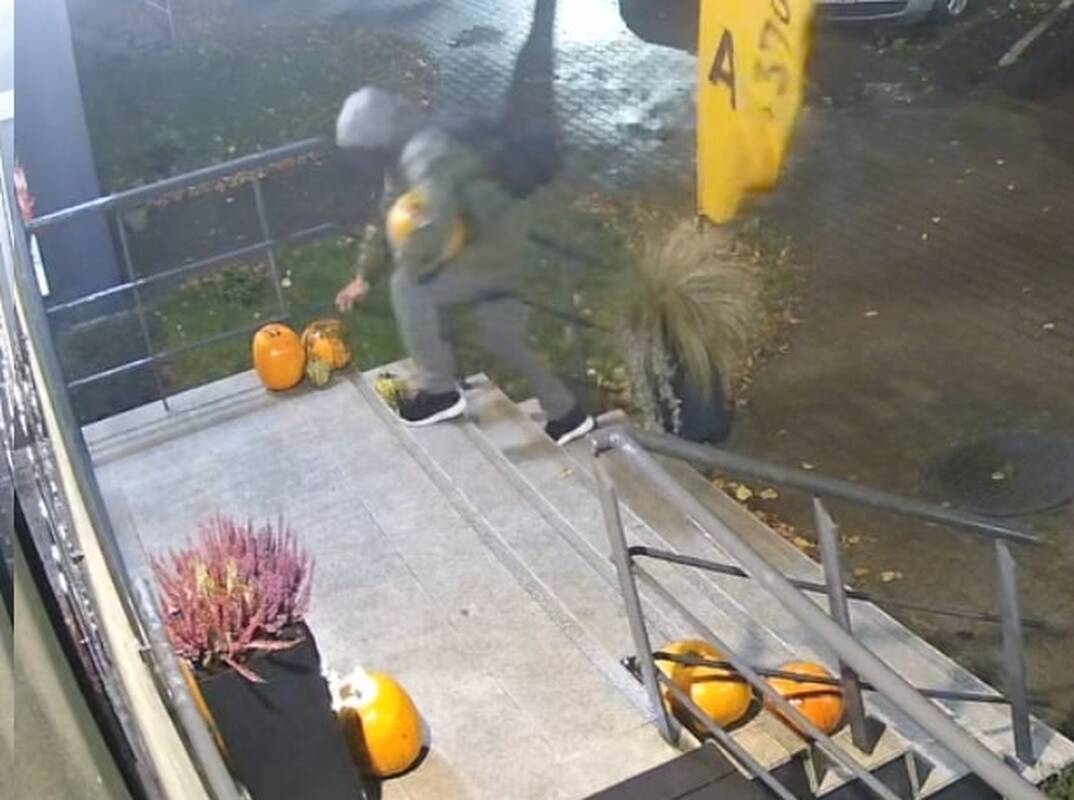 Aktas: moliūgus nugvelbęs asmuo liko nenustatytas, bet užfiksuotas vaizdo kamerų.