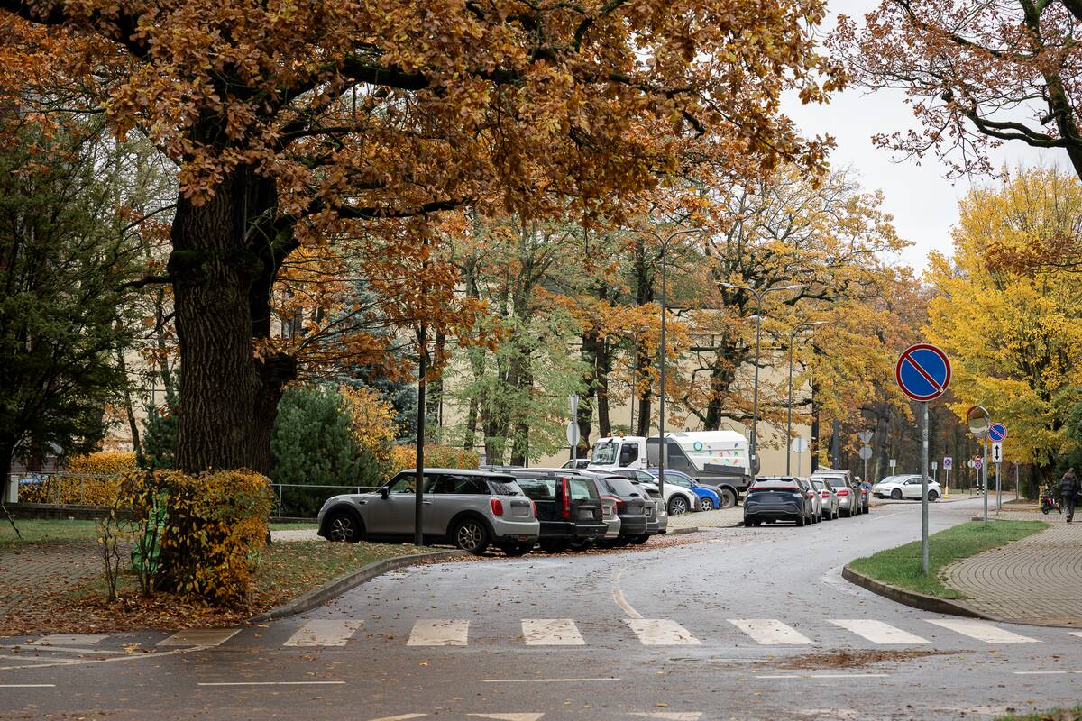 Siūlymas: planuojama apmokestinti parkavimą prestižinėje Žaliakalnio dalyje.