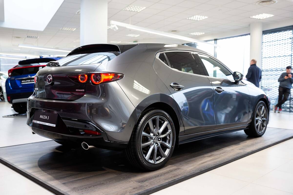 Minimaliai: tinkamai parinktos „Mazda 3“ su atmosferiniu varikliu priežiūra dažniausiai apsiriboja alyvos ir filtrų keitimu.