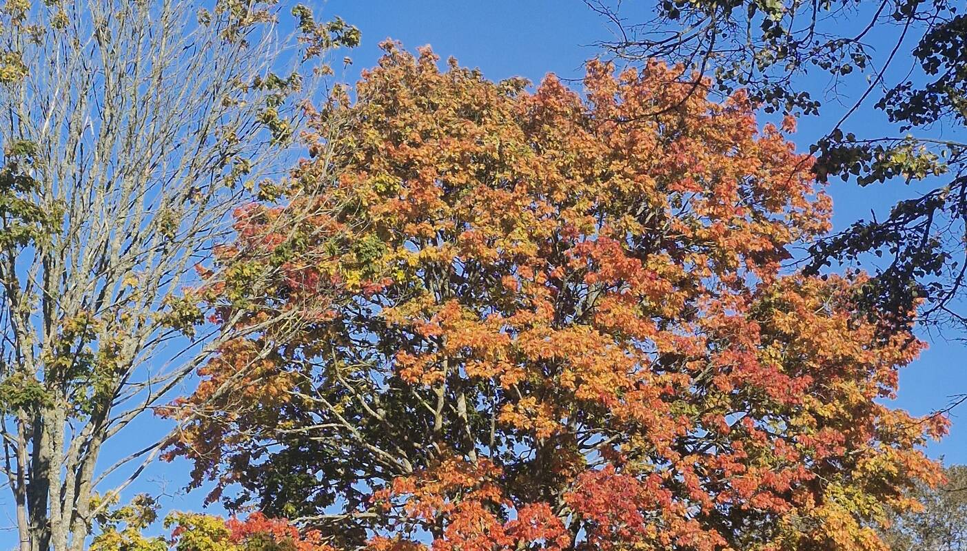 Prognozės: ateinantį Vėlinių savaitgalį prognozuojamas gana palankus oras lankyti artimųjų kapus.