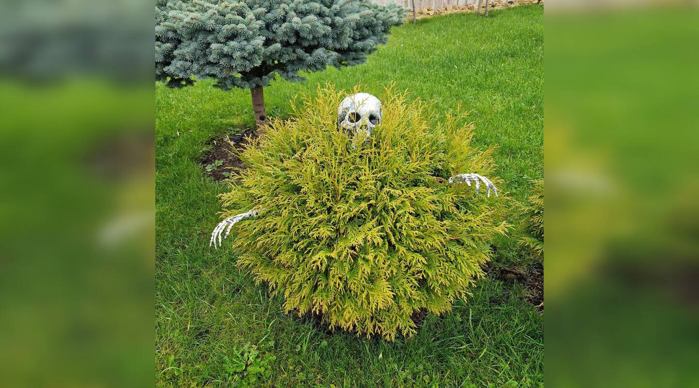 Populiaru: šiurpnakčiams ar Helovinui žmonės skiria nemažai resursų, pastangų ir išmonės.