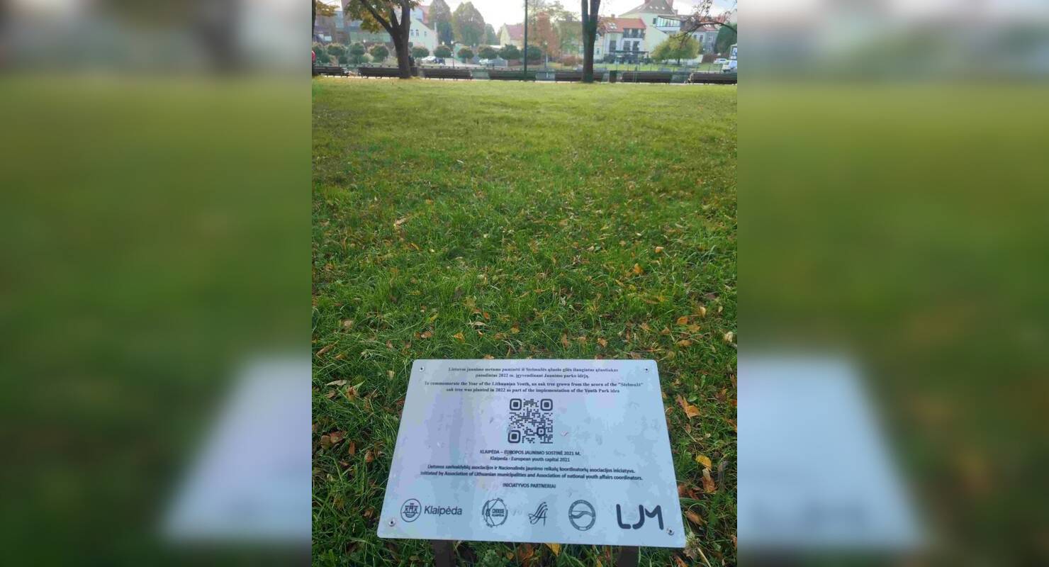 Paslaptis: nežinoma, ar ąžuoliukas buvo nupjautas tyčia.