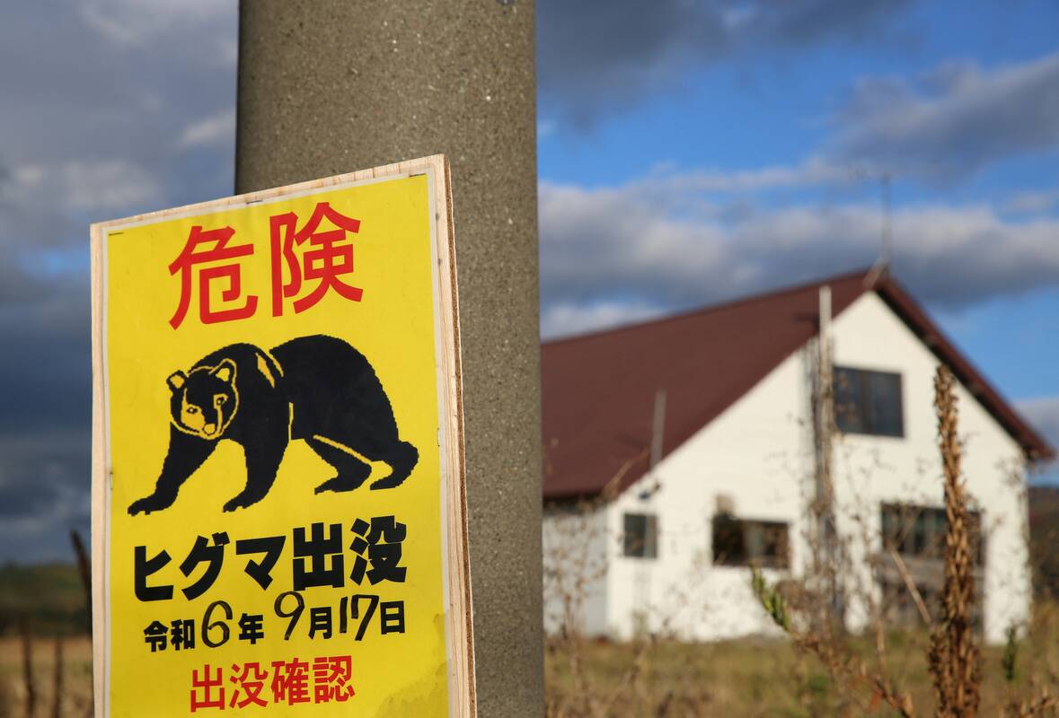Lokys Japonijoje užpuolė ir sužalojo turistą