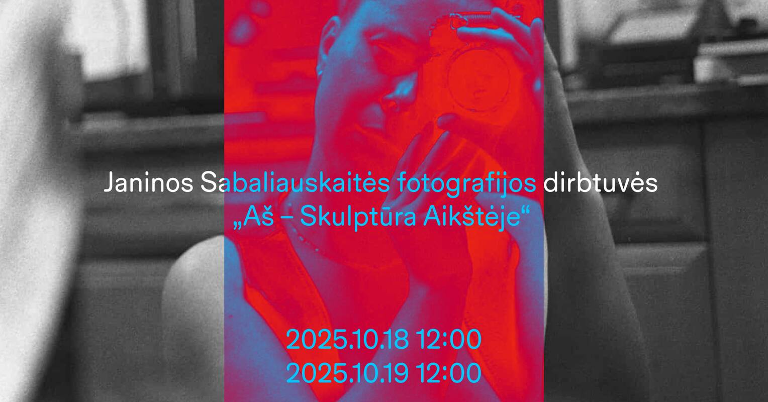 Janinos Sabaliauskaitės fotografijos dirbtuvės „Aš – Skulptūra Aikštėje“ 
