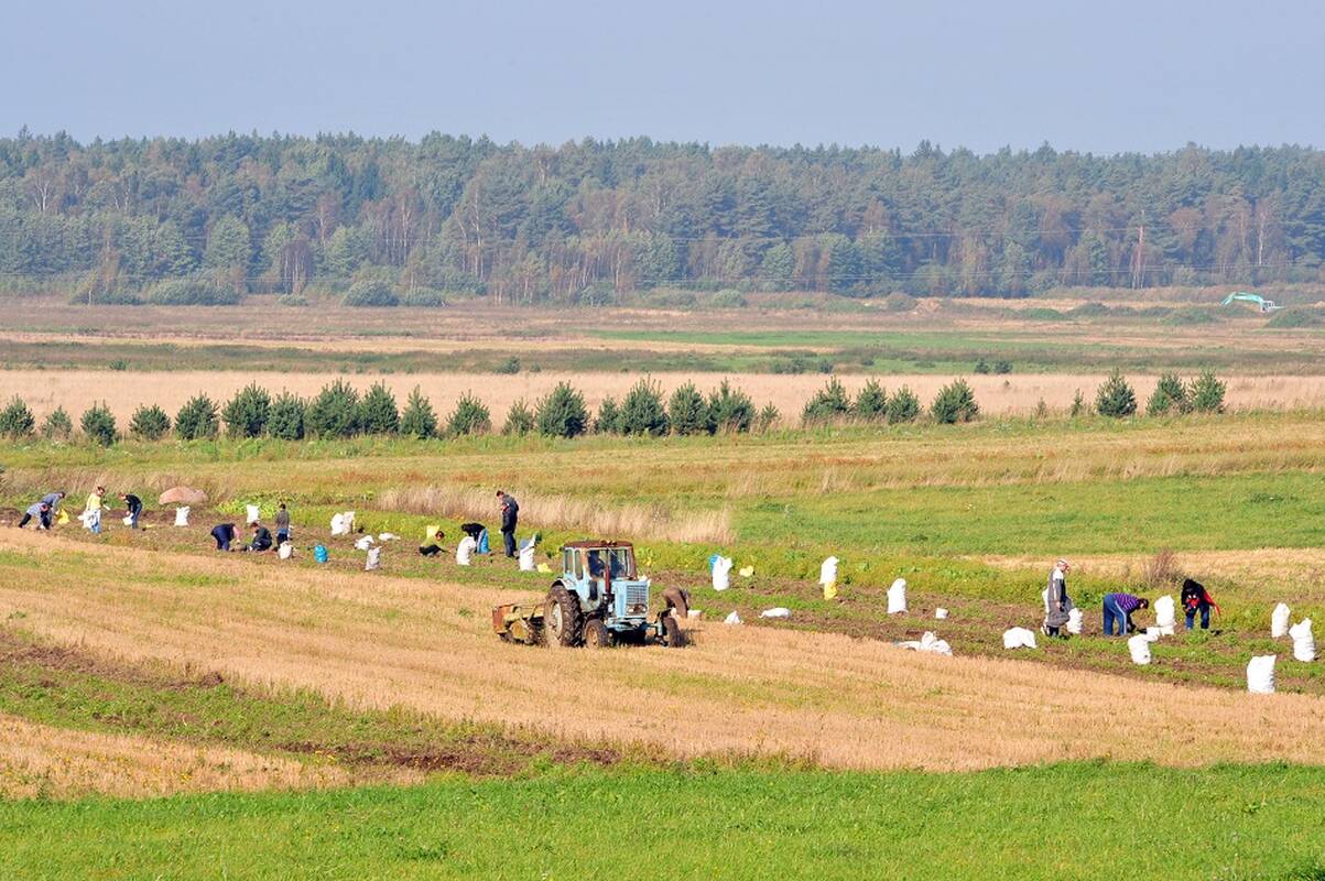 Premjerė su ŽŪR atstovais aptarė, kaip auginti žemės ūkio pridėtinę vertę