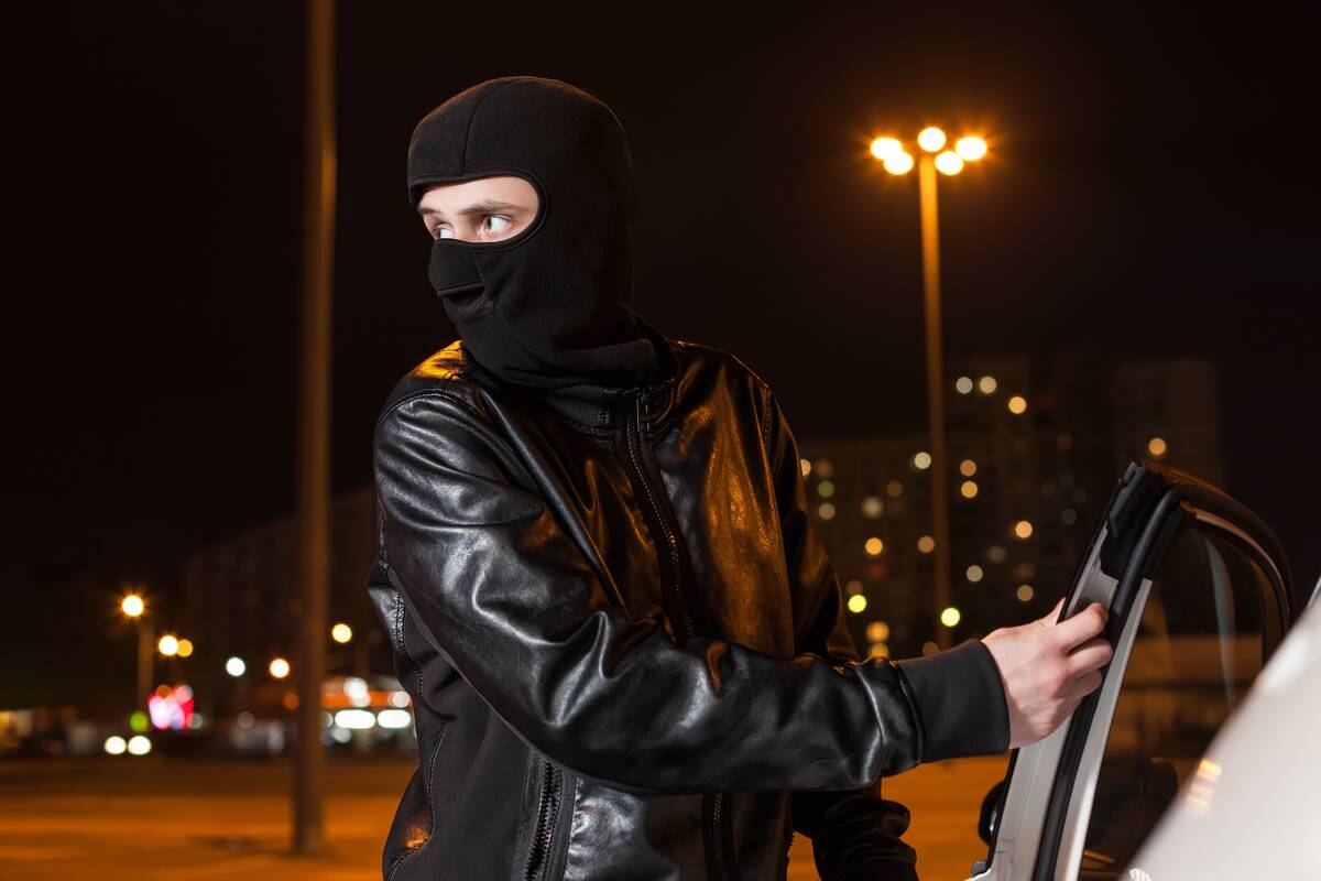 Ilgapirščių taikinyje – ši automobilių markė