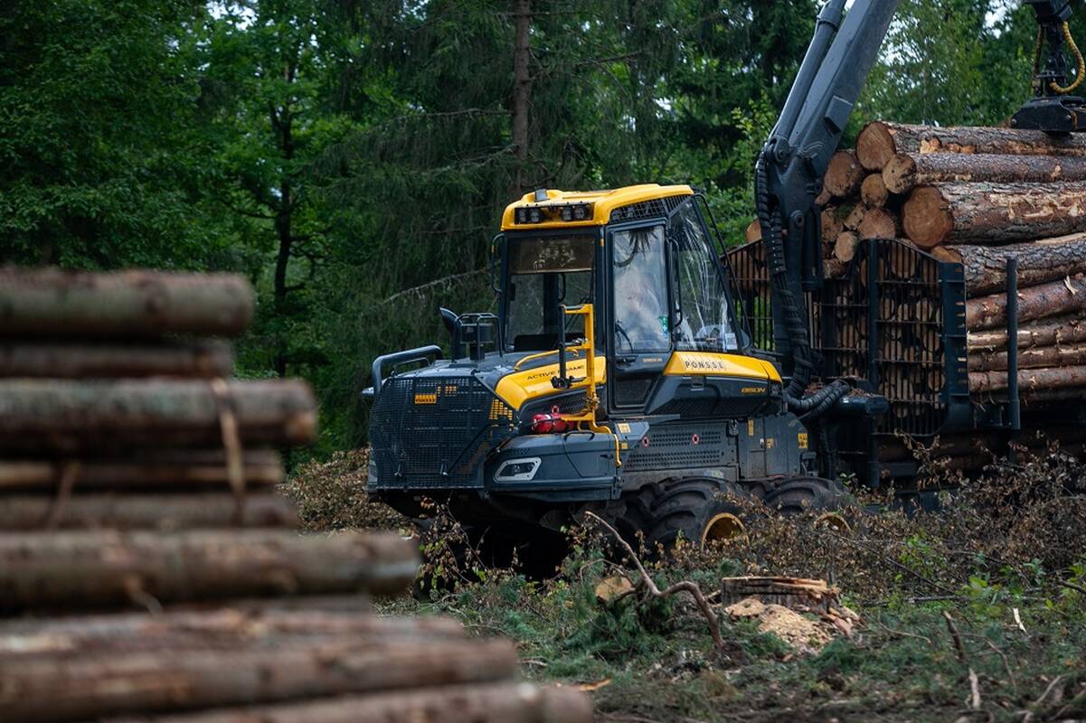 Žuromskas: mano prioritetas – mažinti plynuosius kirtimus