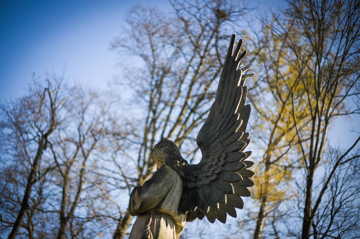 Karolis Kaupinis kviečia protestuoti ir per Vėlines