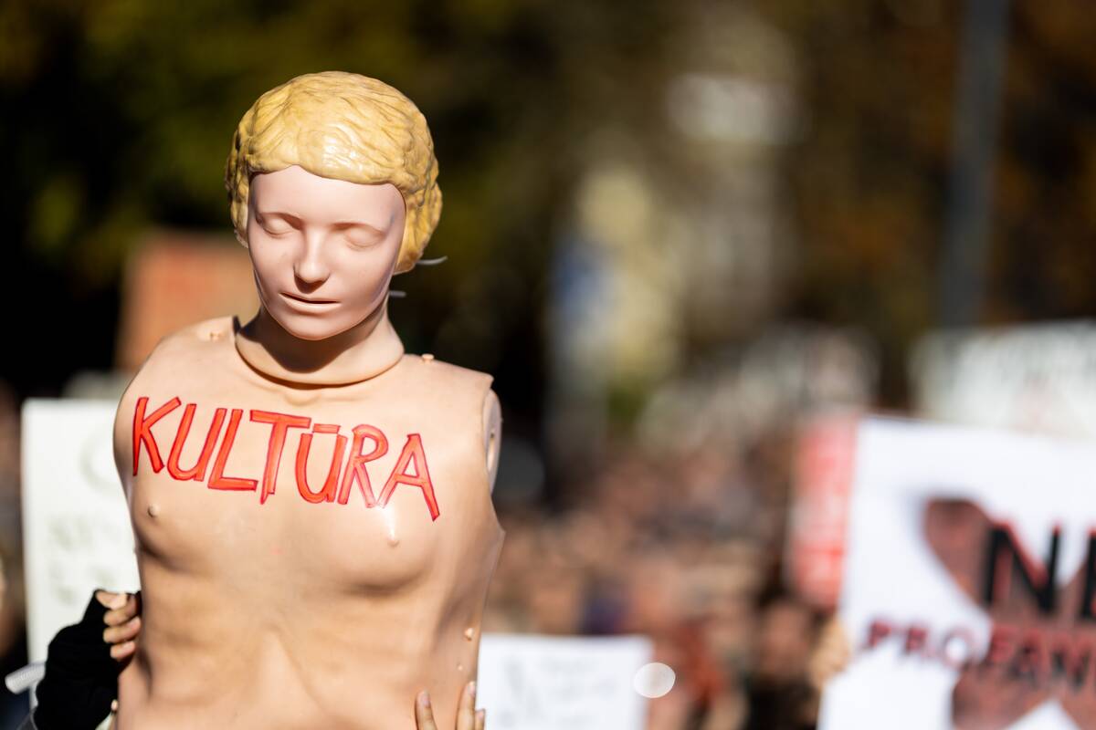 Lietuvos kino festivaliai sekmadienį surengs „Kino streiką“