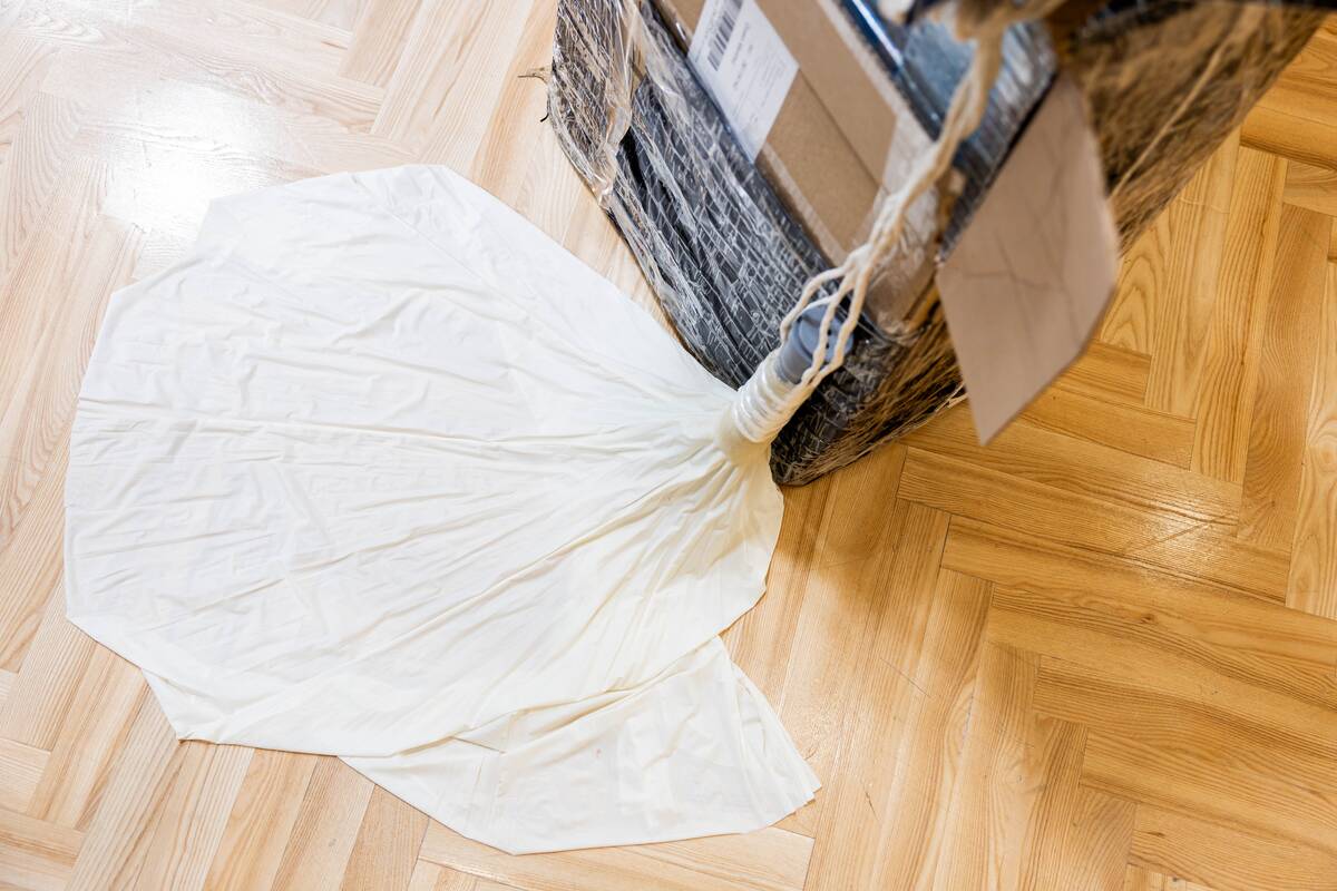 Apie incidentus Lietuvoje: tai yra destabilizacija