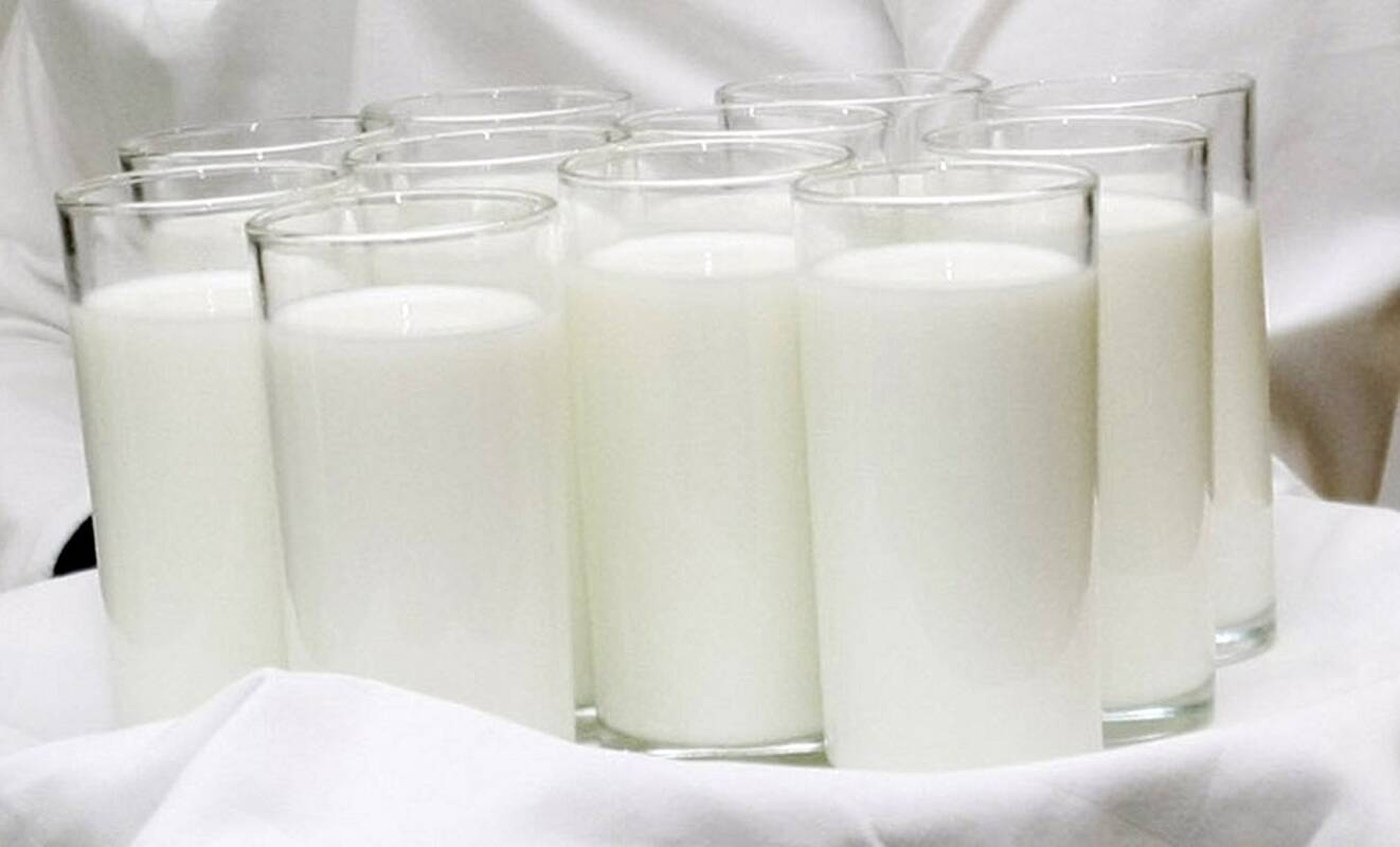 Pieno supirkimo kaina Lietuvoje per metus išaugo 