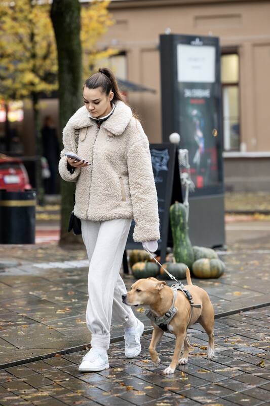 Kauniečių diena (2025-10-31)