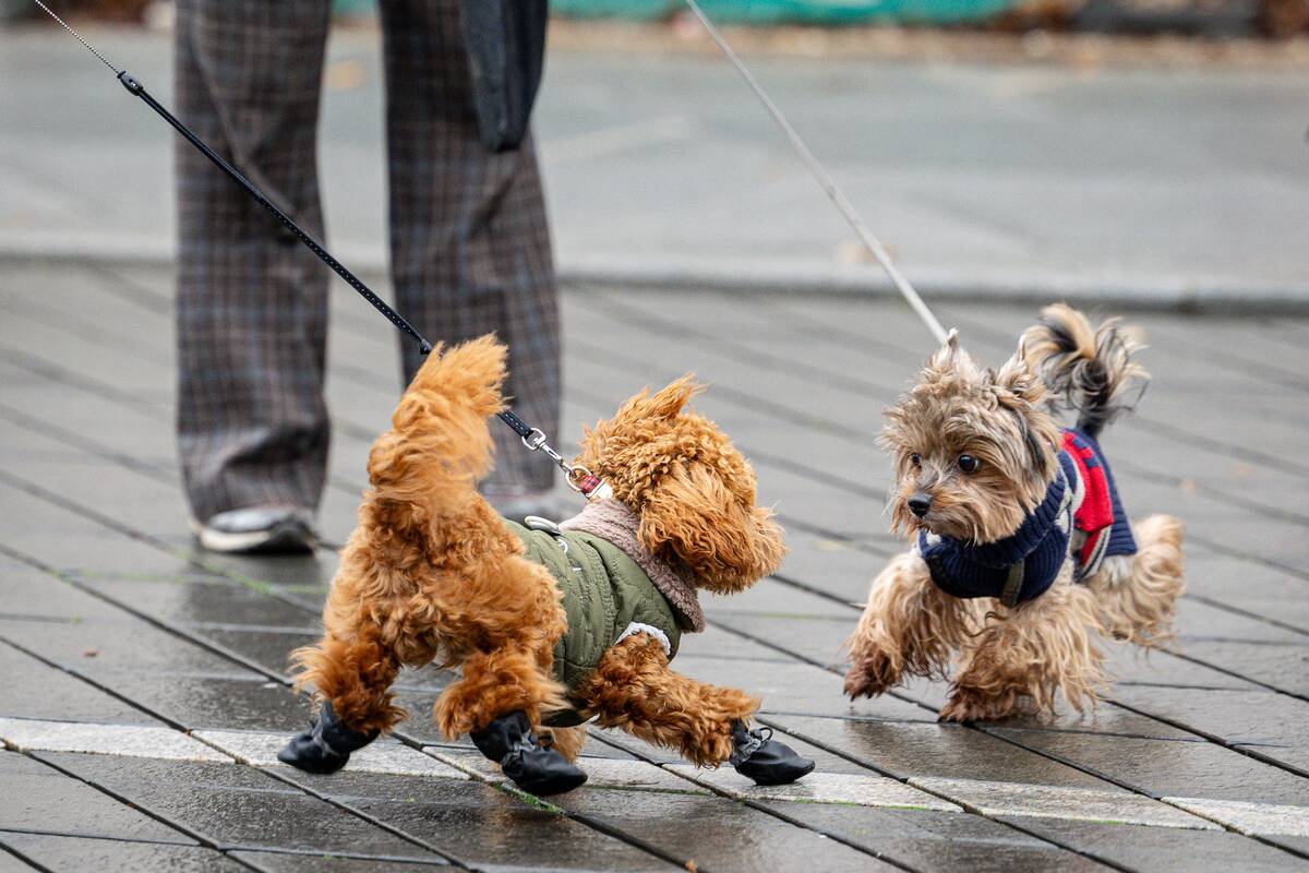 Dienos horoskopas 12 Zodiako ženklų (lapkričio 1 d.)
