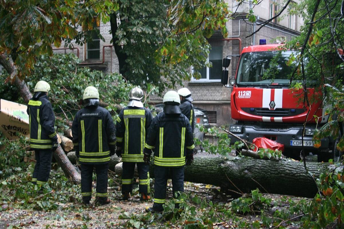 Dėl stipraus vėjo – chaosas šalyje: ant automobilių virto medžiai, lūžo šakos