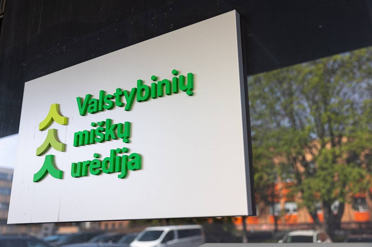 Premjerės patarėjas dėl Valstybinių miškų urėdijos likimo: nebus atiduodama