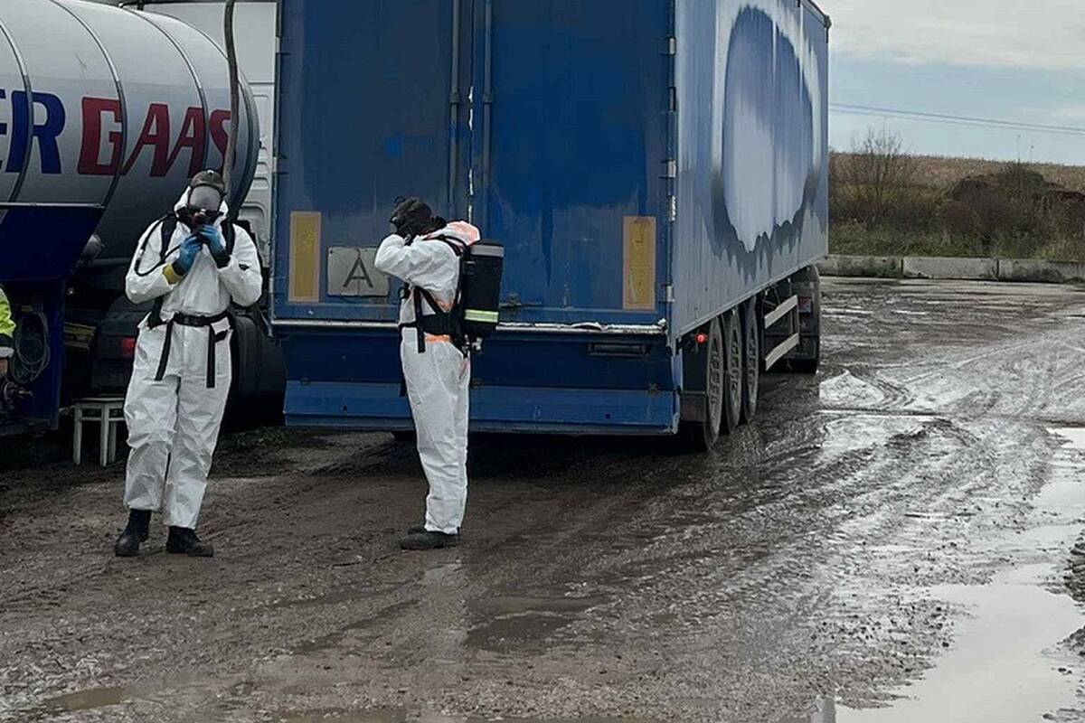 VMVT: afrikinio kiaulių maro židinyje tęsiami lividavimo darbai