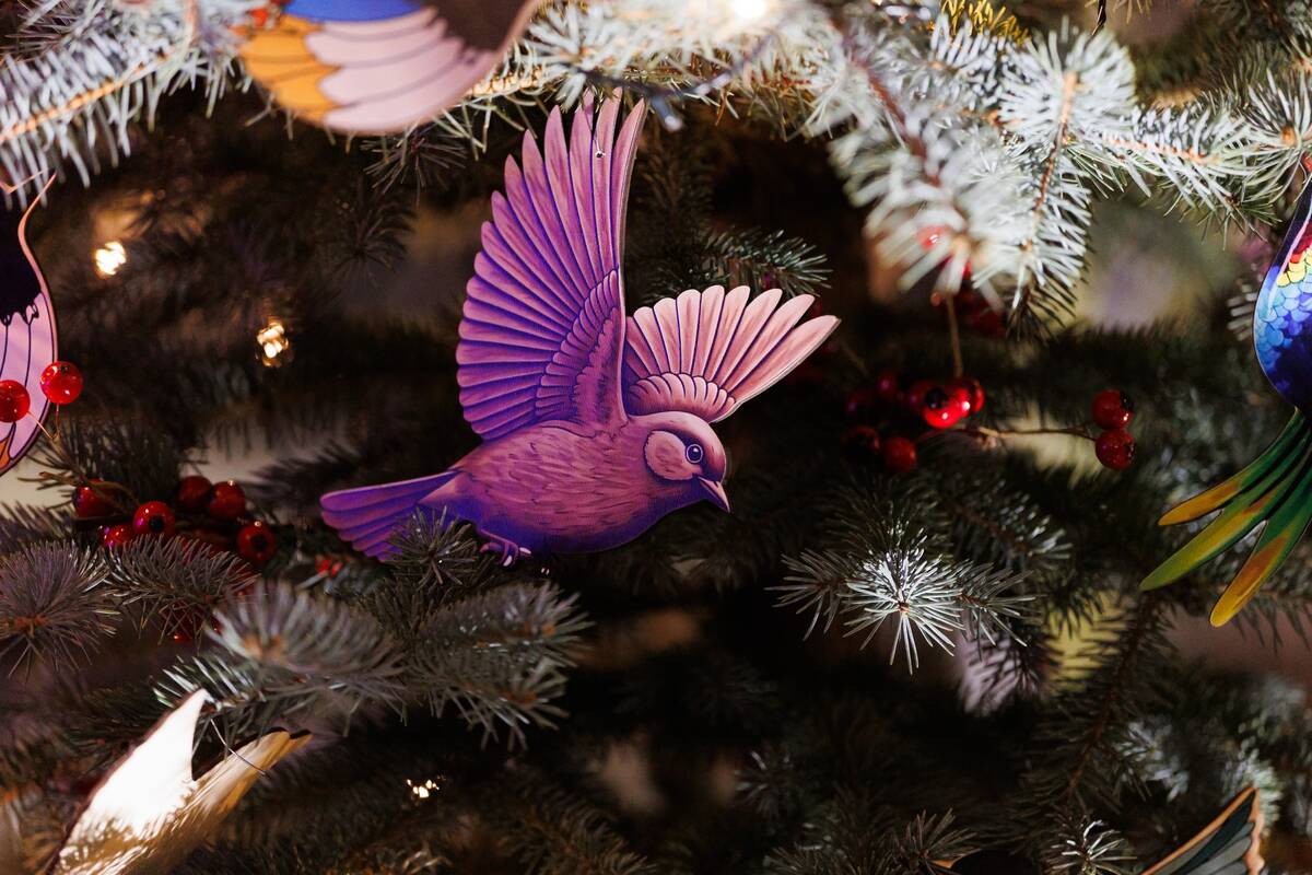 Jonavoje įžiebta Kalėdų eglutė ir Kalėdinių eglučių miestelis