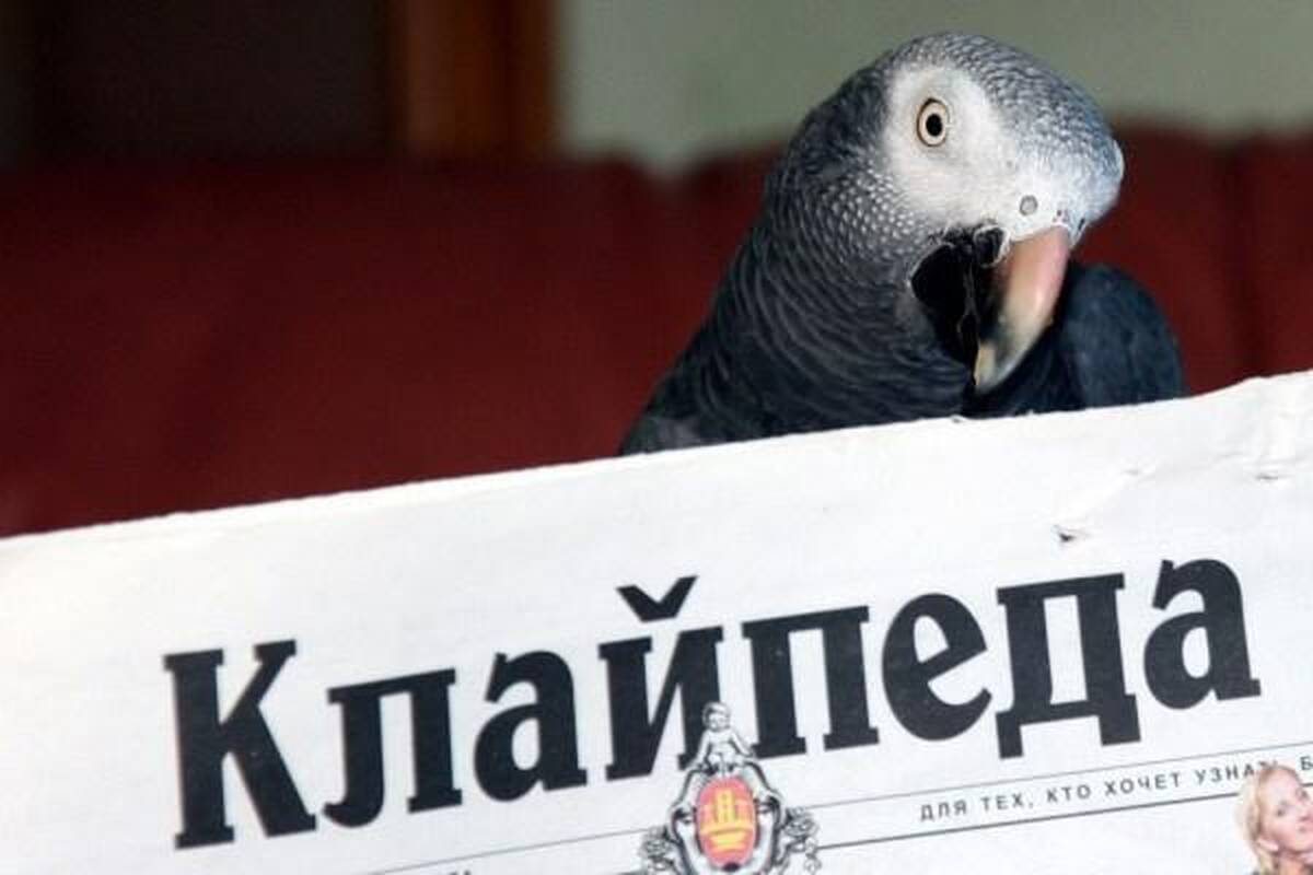 Nutraukiama savaitraščio „Klaipėda“ rusų kalba leidyba