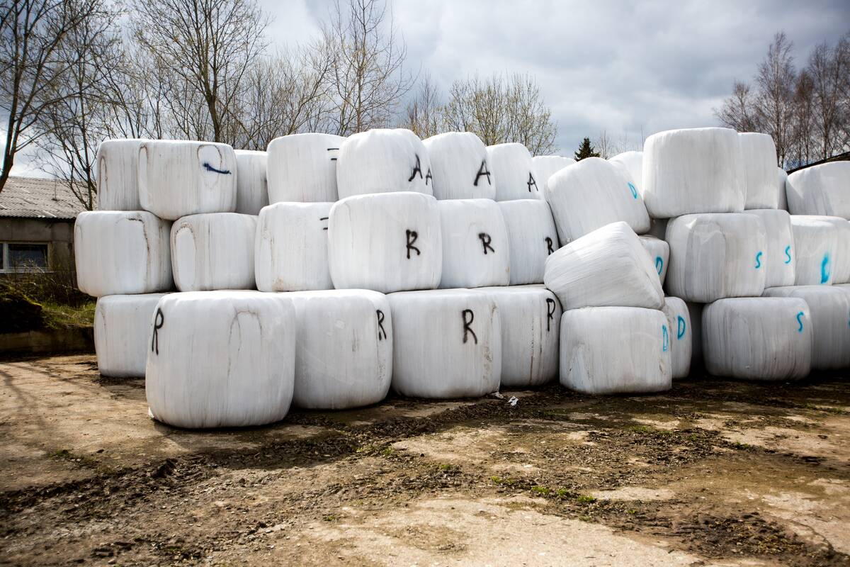 Nuteista porelė, prekiavusi neegzistuojančiu šienu
