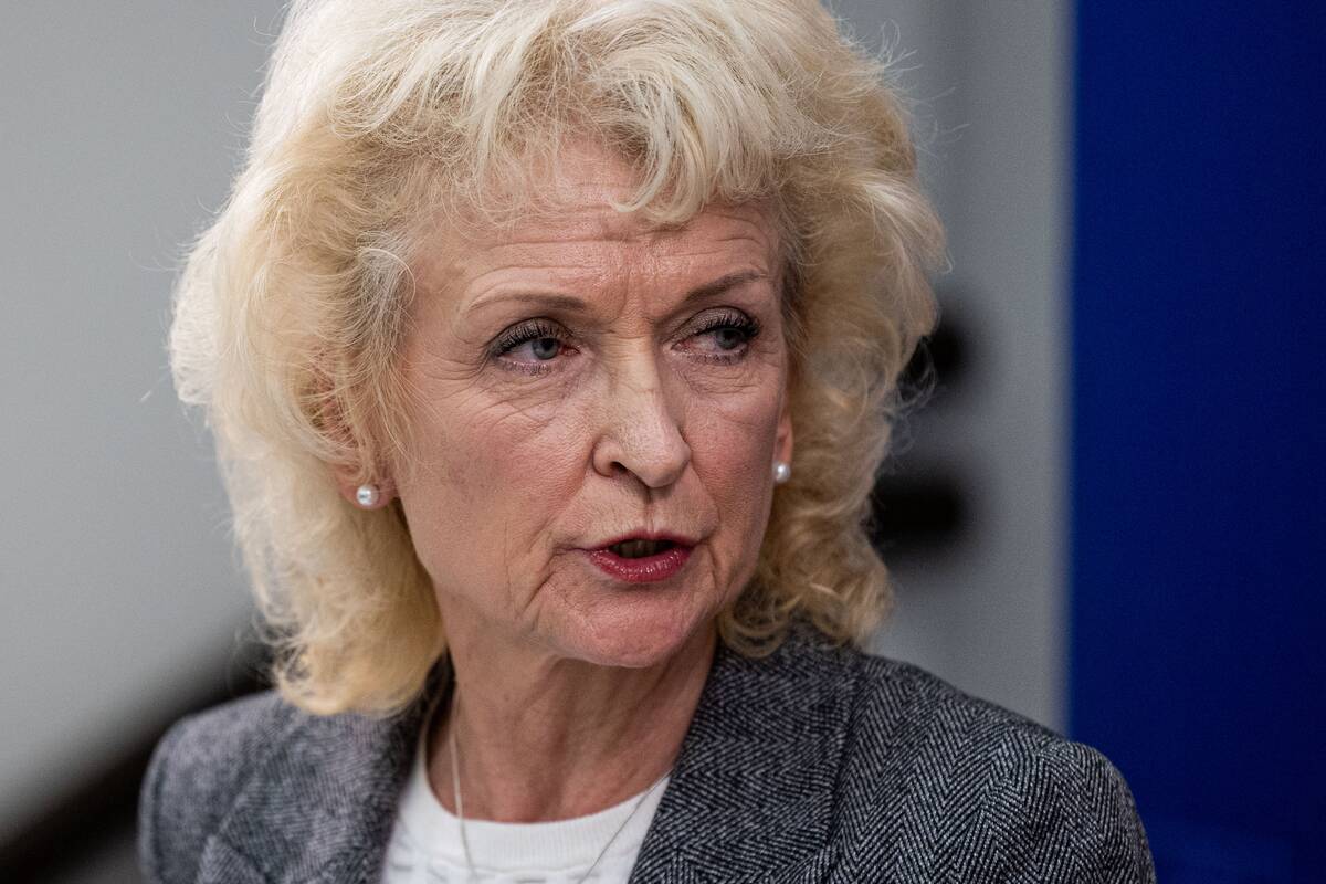 Nausėda susitiko su kandidate į kultūros ministrus Aleknavičiene