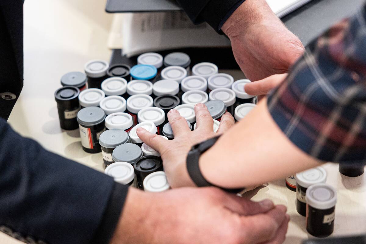 P. Peleckio / BNS nuotr.