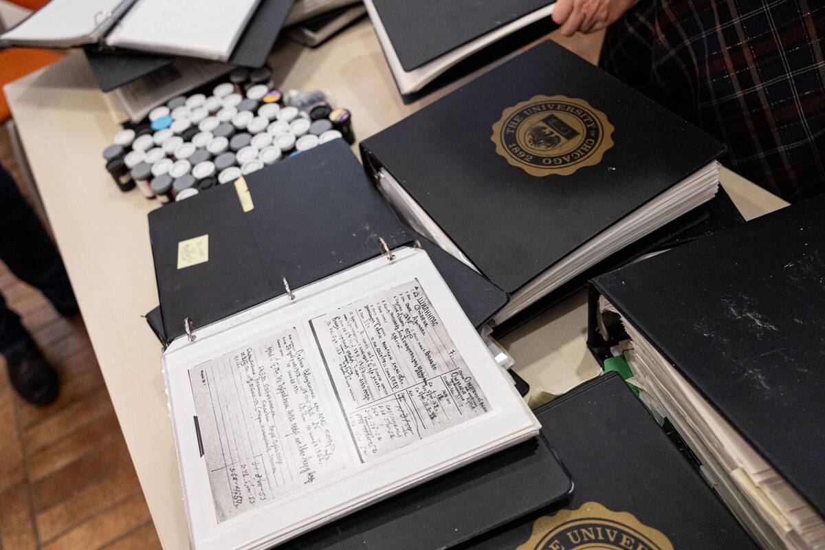 P. Peleckio / BNS nuotr.