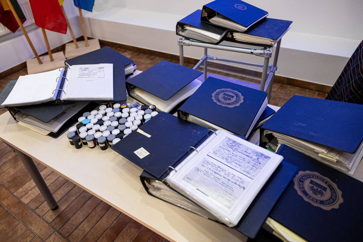 P. Peleckio / BNS nuotr.