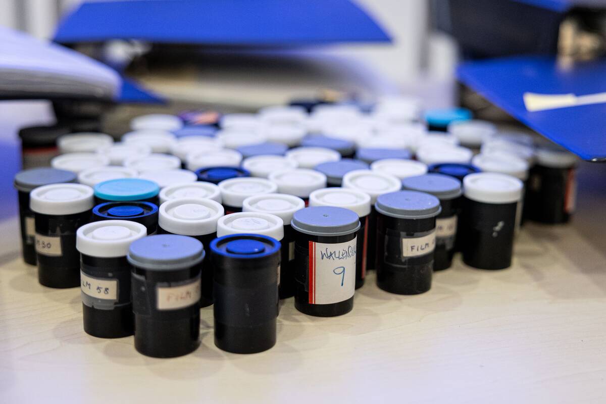 P. Peleckio / BNS nuotr.