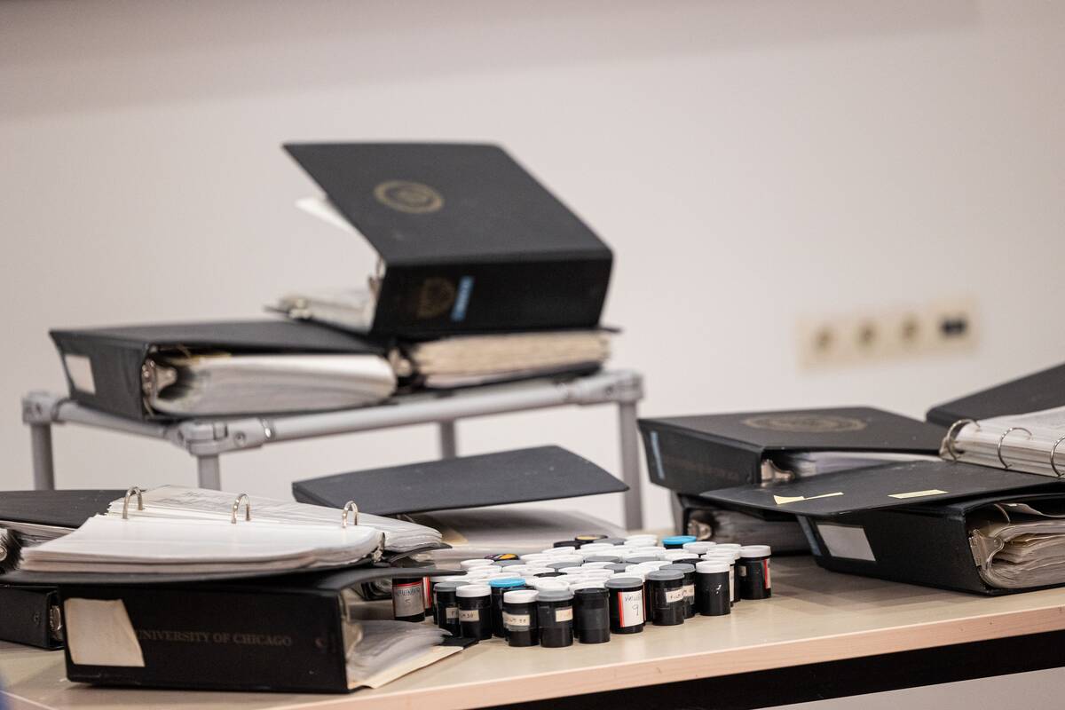 P. Peleckio / BNS nuotr.