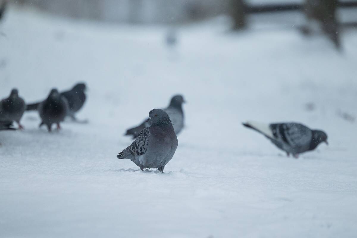 Dienos horoskopas 12 Zodiako ženklų (lapkričio 27 d.)
