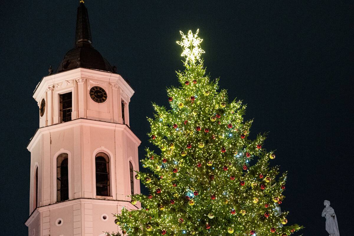 Vilniaus Kalėdų eglės įžiebimas
