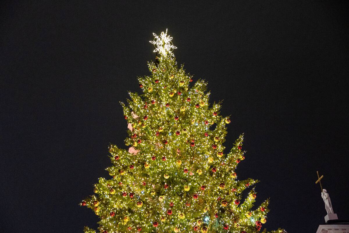 Vilniaus Kalėdų eglės įžiebimas