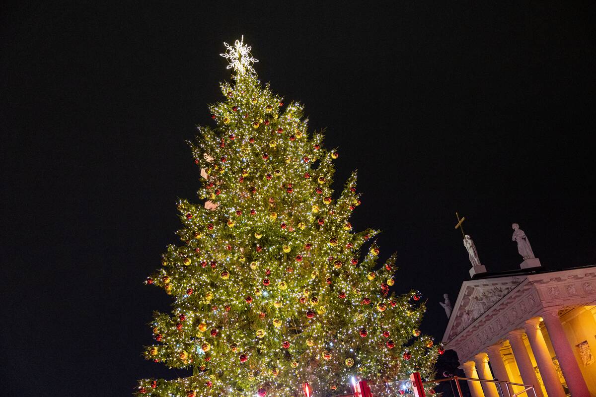 Vilniaus Kalėdų eglės įžiebimas