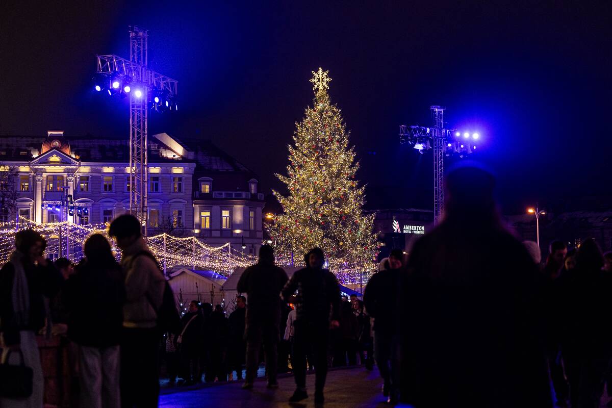 Vilniaus Kalėdų eglės įžiebimas